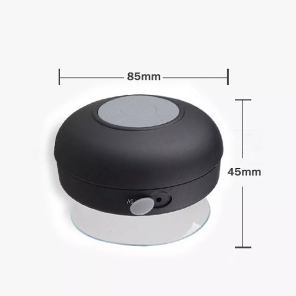 Waterproof Wireless Bluetooth Mic Speaker