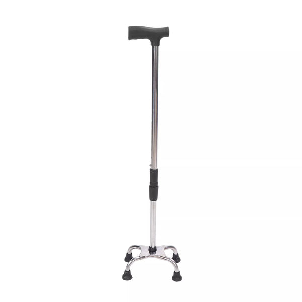 Walking Cane