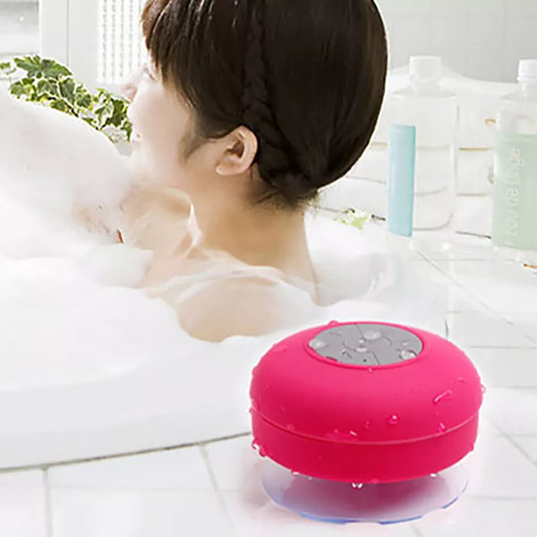 Waterproof Wireless Bluetooth Mic Speaker