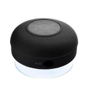 Waterproof Wireless Bluetooth Mic Speaker